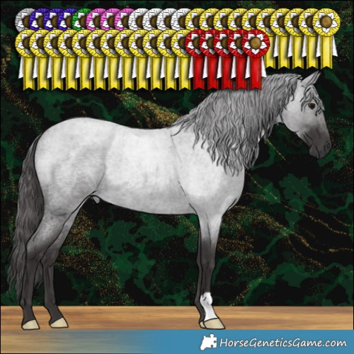 Horse Color:Smoky Blue Roan 