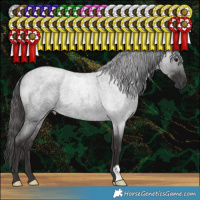 Horse Color:Smoky Blue Roan 