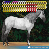 Horse Color:Smoky Blue Roan