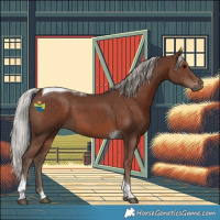 Horse Color:Silver Black Tobiano 