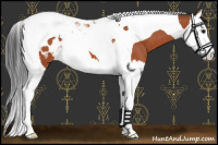 Horse Color:Bay Roan Splash Tobiano Blanket 