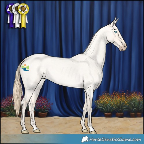 Horse Color:Perlino Roan Dun 