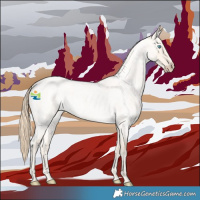 Horse Color:Perlino Roan Dun 