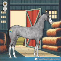Horse Color:White Spotted Smoky Blue Roan 