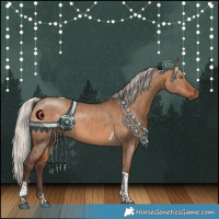 Horse Color:White Spotted Silver Brown Dun Tobiano Rabicano 