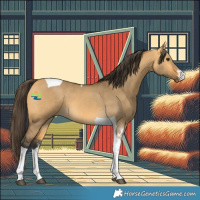 Horse Color:White Spotted Buckskin Dun Tobiano 