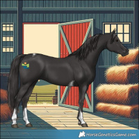 Horse Color:Smoky Black Tobiano 