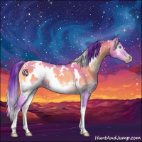 Horse Color:Gray Watercolor White Spotted Amber Cream Champagne Onyx Rabicano