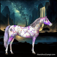 Horse Color:Nacre Watercolor Silver Bay Onyx Sabino Appaloosa Rabicano 