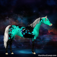 Horse Color:Silver Buckskin Dun Tobiano Rabicano 