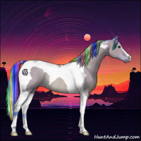 Horse Color:Painted Watercolor Bay Roan Tobiano Rabicano 