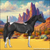 Horse Color:Black Tobiano Rabicano