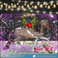 Horse Color:Liver Red Roan Tobiano
