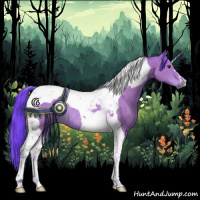 Horse Color:Watercolor Bay Tobiano Rabicano 