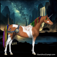 Horse Color:Painted Bay Tobiano Rabicano 