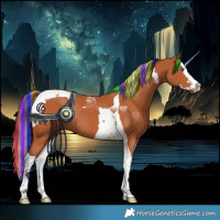 Horse Color:Painted Bay Splash Tobiano Rabicano 