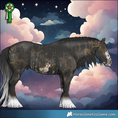 Horse Color:Buckskin Dun Tobiano Rabicano and Black Splash Frame