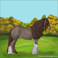 Horse Color:Liver Red Roan Tobiano