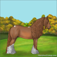 Horse Color:Chestnut Tobiano 
