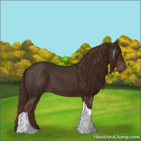 Horse Color:Liver Chestnut Tobiano 
