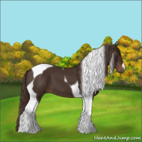 Horse Color:Liver Chestnut Tobiano 
