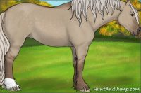 Horse Color:Silver Grullo 