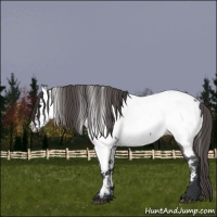 Horse Color:Grullo Near Fewspot 