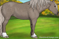 Horse Color:Silver Grullo 