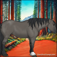 Horse Color:Grullo 