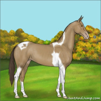 Horse Color:Classic Cream Champagne Tobiano 