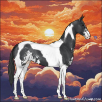 Horse Color:Black Sabino Tobiano 