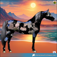 Horse Color:Void Watercolor White Spotted Chocolate Palomino Onyx Splash 