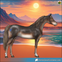 Horse Color:Liver Chestnut 