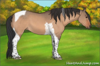 Horse Color:Bay Dun Tobiano 