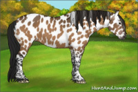 Horse Color:Gray Bay Dun Tobiano Leopard 