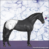 Horse Color:Blue Roan Snowcap 