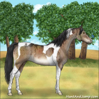Horse Color:Brown Dun Tobiano Brindle 