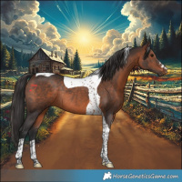 Horse Color:Brown Tobiano Rabicano
