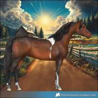 Horse Color:Brown Tobiano 