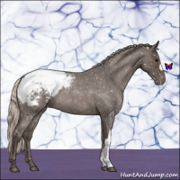 Horse Color:Silver Blue Roan Snowcap 