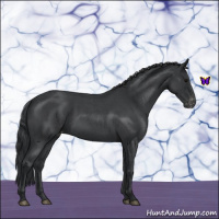 Horse Color:Blue Roan Varnish