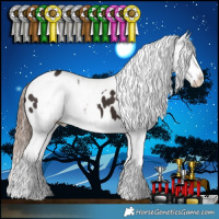 Horse Color:Liver Chestnut Sabino Appaloosa and Liver Chestnut Sabino Appaloosa Rabicano