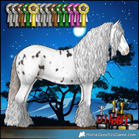 Horse Color:Liver Chestnut Sabino Appaloosa and Liver Chestnut Sabino Appaloosa Rabicano