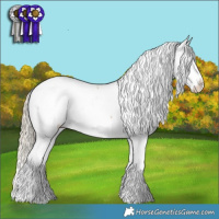 Horse Color:White Spotted Chocolate Palomino Appaloosa 