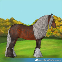 Horse Color:Silver Brown 