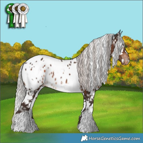 Horse Color:White Spotted Silver Brown Appaloosa 