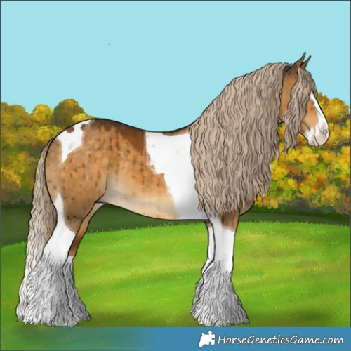 Horse Color:Chocolate Palomino Dun Splash Tobiano Brindle 