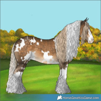 Horse Color:White Spotted Chocolate Palomino Splash 