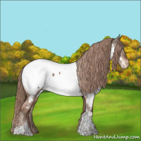 Horse Color:Liver Red Dun Tobiano Appaloosa 