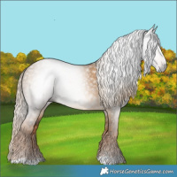 Horse Color:Gray Chocolate Palomino Dun 
